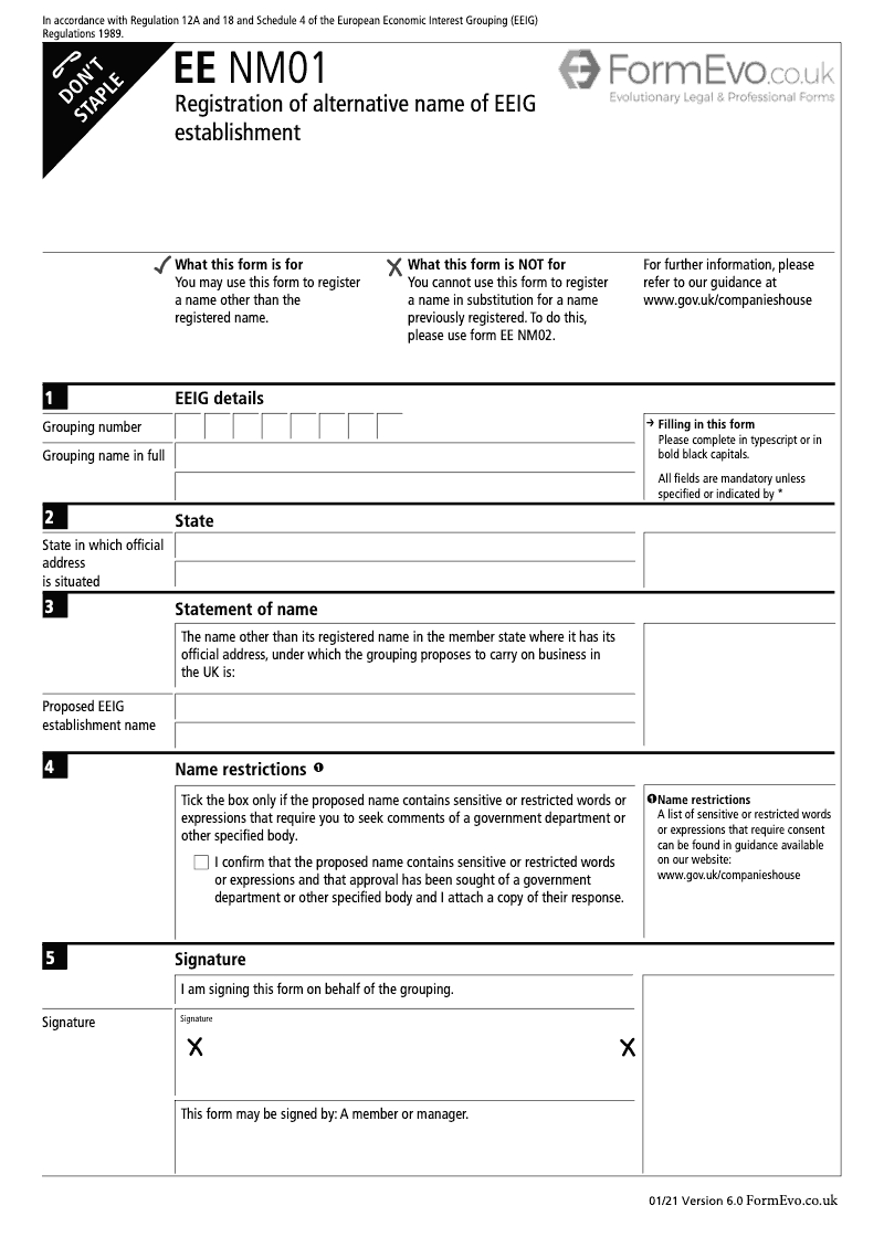EE NM01 Statement of name other than registered name under which an EEIG whose official address is outside the UK proposes to carry on business in the UK preview